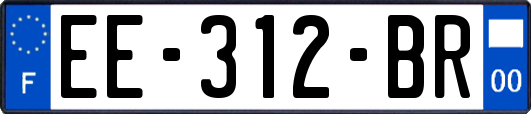 EE-312-BR