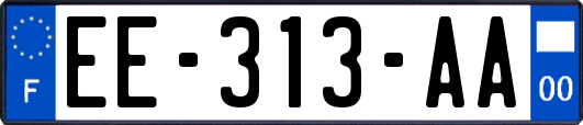 EE-313-AA