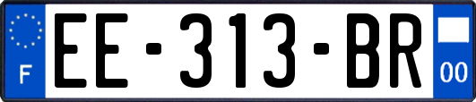 EE-313-BR