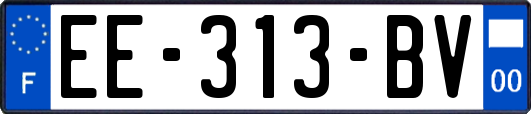 EE-313-BV