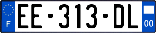 EE-313-DL