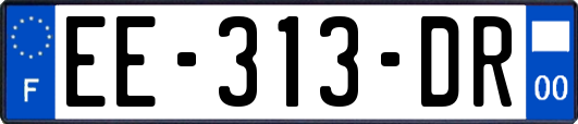 EE-313-DR