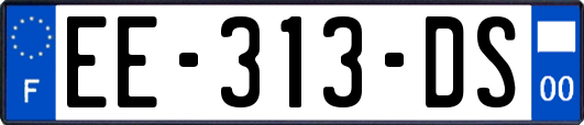 EE-313-DS
