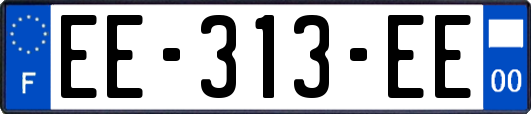 EE-313-EE