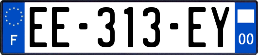EE-313-EY