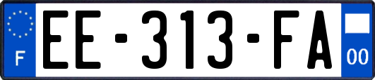 EE-313-FA