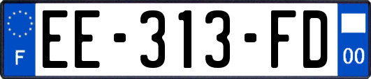 EE-313-FD