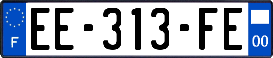 EE-313-FE