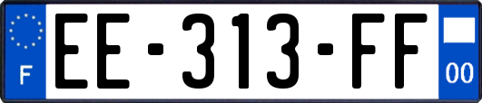 EE-313-FF