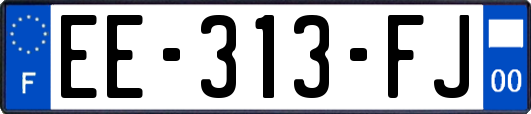 EE-313-FJ