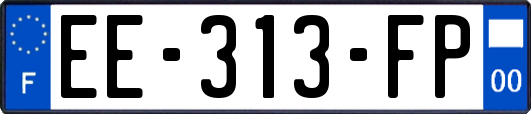 EE-313-FP