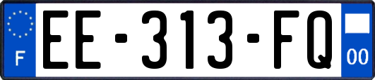 EE-313-FQ