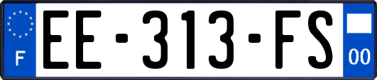 EE-313-FS