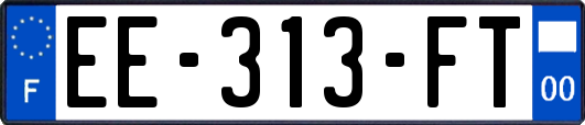 EE-313-FT