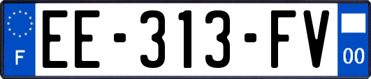 EE-313-FV