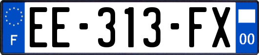EE-313-FX