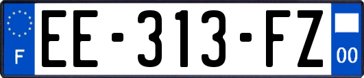 EE-313-FZ