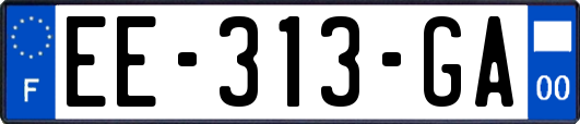 EE-313-GA