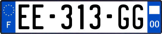 EE-313-GG