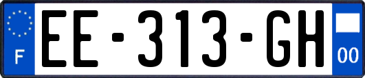 EE-313-GH