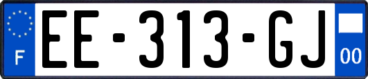 EE-313-GJ