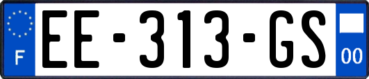 EE-313-GS