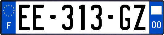 EE-313-GZ