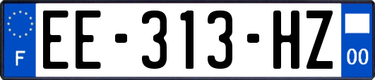 EE-313-HZ