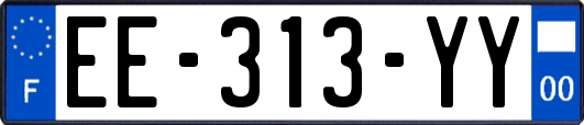 EE-313-YY