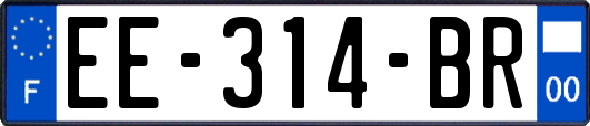 EE-314-BR