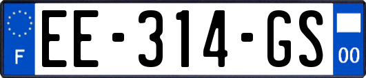 EE-314-GS