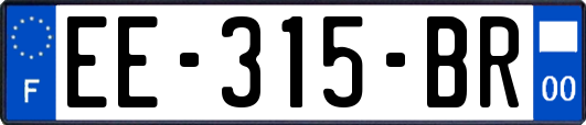 EE-315-BR