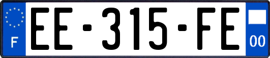 EE-315-FE