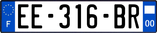 EE-316-BR