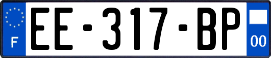 EE-317-BP