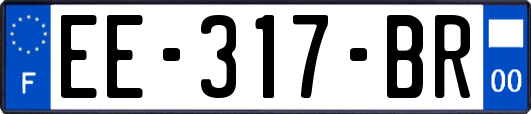 EE-317-BR