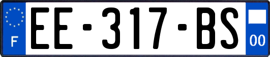 EE-317-BS