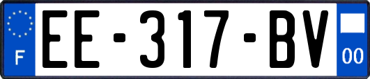 EE-317-BV