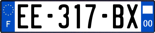 EE-317-BX