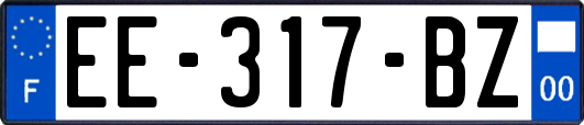 EE-317-BZ