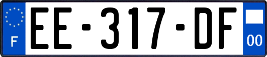 EE-317-DF