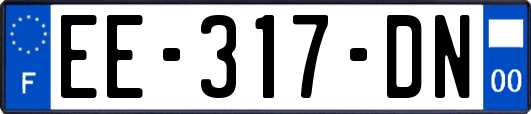 EE-317-DN