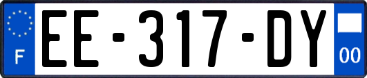 EE-317-DY