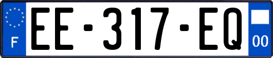 EE-317-EQ