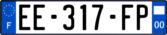 EE-317-FP