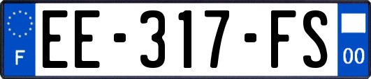 EE-317-FS
