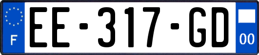 EE-317-GD