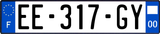EE-317-GY
