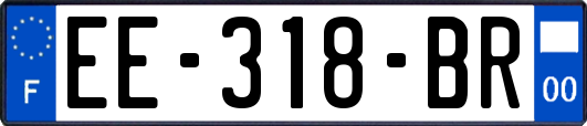 EE-318-BR