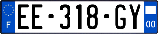 EE-318-GY
